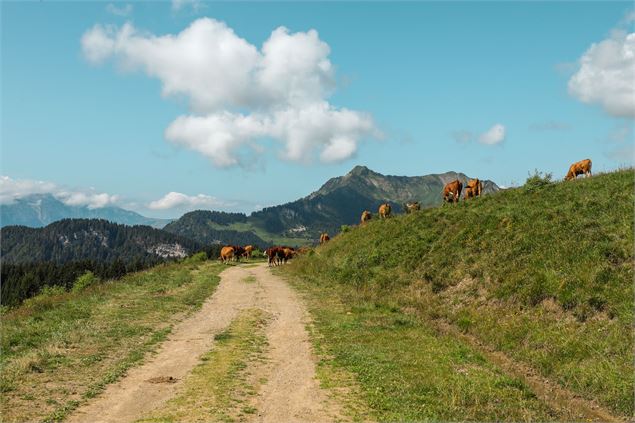 chemin pédestre - Solegets