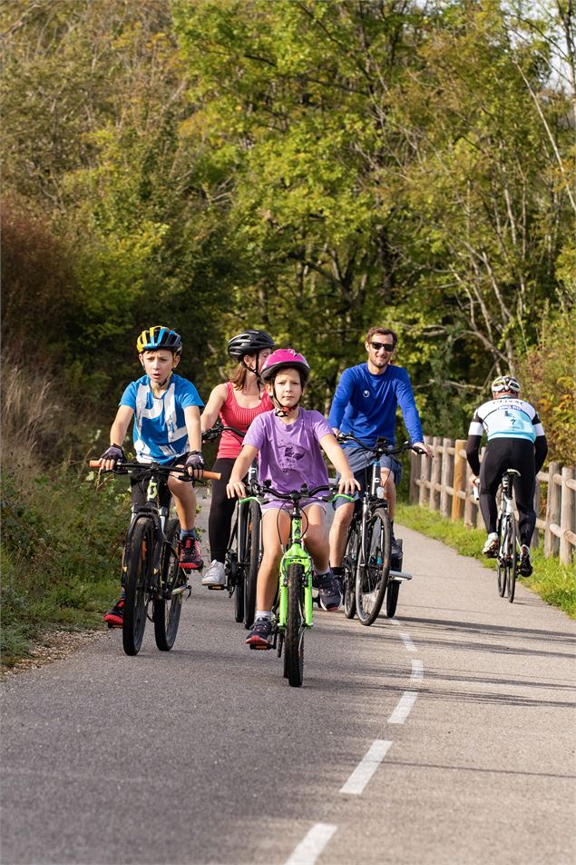 La boucle des deux rives du Rhône : balade vélo facile entre la ViaRhôna et la voie verte Via Grand 