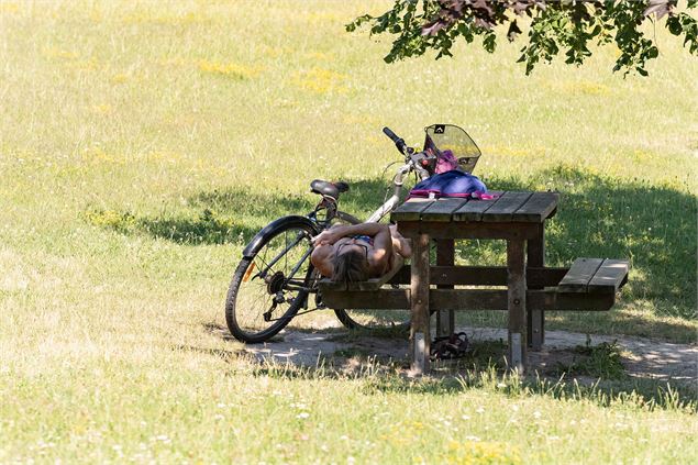 La boucle des deux rives du Rhône : balade vélo facile entre la ViaRhôna et la voie verte Via Grand 