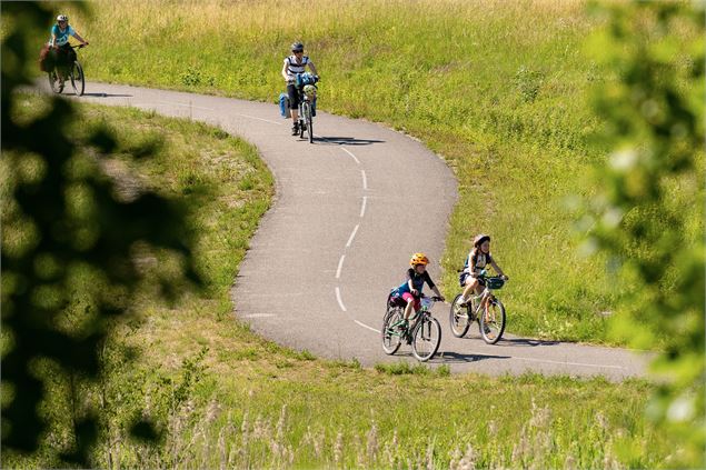 La boucle des deux rives du Rhône : balade vélo facile entre la ViaRhôna et la voie verte Via Grand 