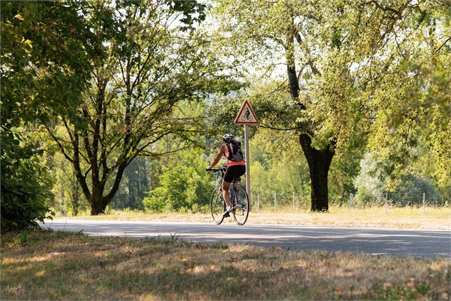 Via Grand Colombier : voie verte en bord de Rhône - Laurent Madelon - CCBS