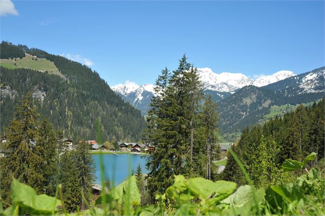 Lac de Vonnes à Châtel - Mairie de Châtel