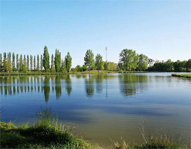 Etang de pêche_Ambérieux-en-Dombes - L'Oasi'Ain restaurant
