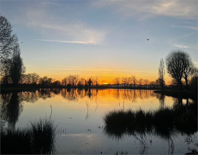 Etang de pêche_Ambérieux-en-Dombes - L'Oasi'Ain restaurant