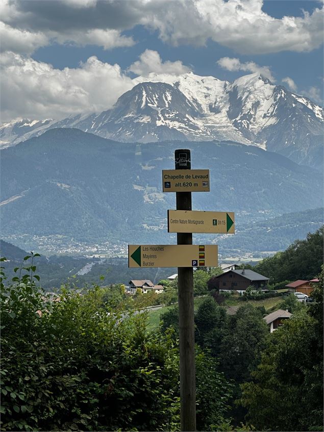 sentier pédestre : promenade à la chapelle de l'Immaculée Conception - Véronique Lorenzi