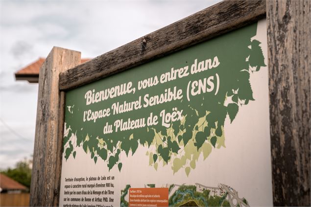 Plateau de Loëx_Bonne - Brice Souvansanouk