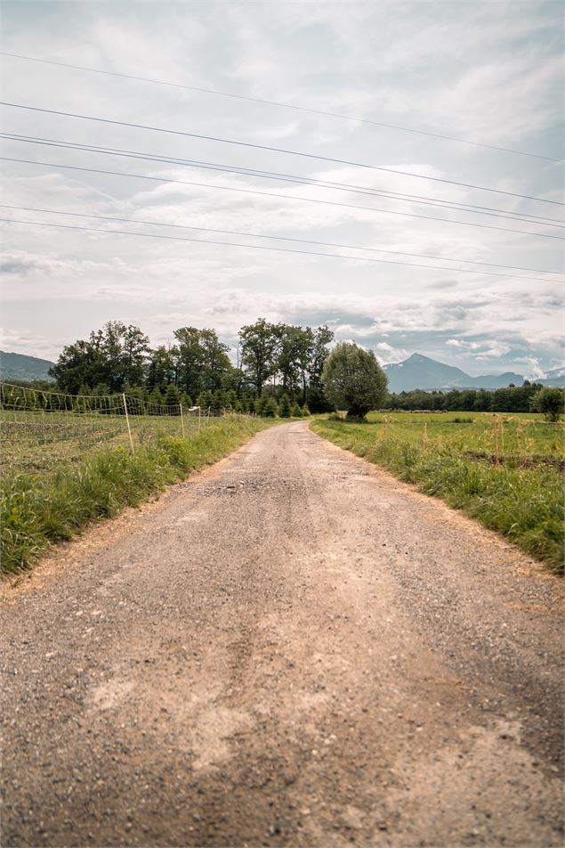 Plateau de Loëx_Bonne - Brice Souvansanouk