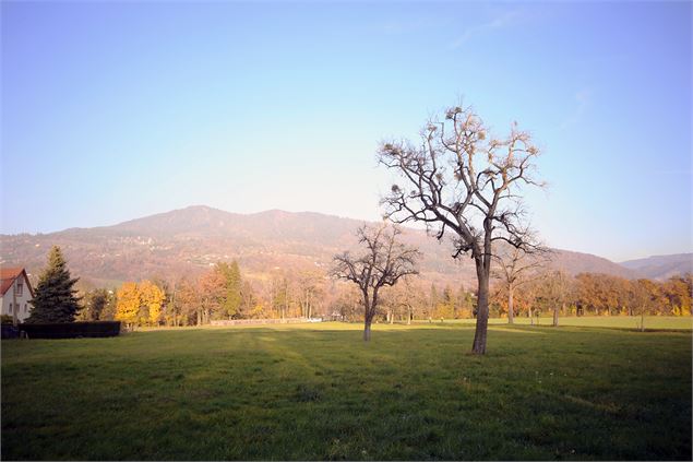 Plateau de Loëx_Bonne - Brice Souvansanouk