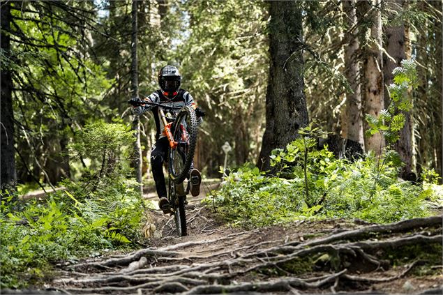 Sur la piste VTT la Komatrautrail du Bike Park de Châtell - L.Meyer - Châtel