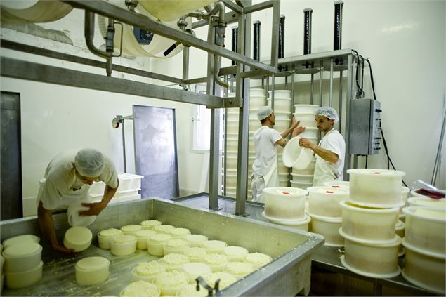 Les employés en pleine fabrication du fromage - Coopérative laitière Ici en Chartreuse