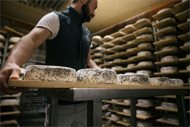 Travail d'affinage du fromage - Coopérative laitière Ici en Chartreuse