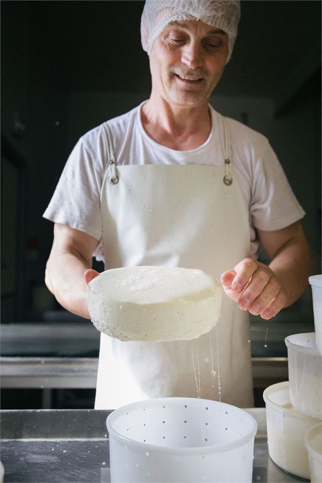 Début d'affinage des fromages - Coopérative laitière Ici en Chartreuse