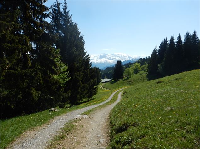 Sentier Agy - CAMT