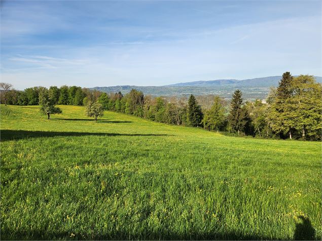 Sentier de randonnée - Boucle de Faucigny, église et château_Faucigny - arnaud lesueur