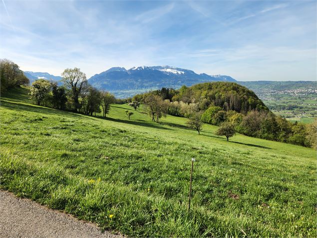 Sentier de randonnée - Boucle de Faucigny, église et château_Faucigny - arnaud lesueur