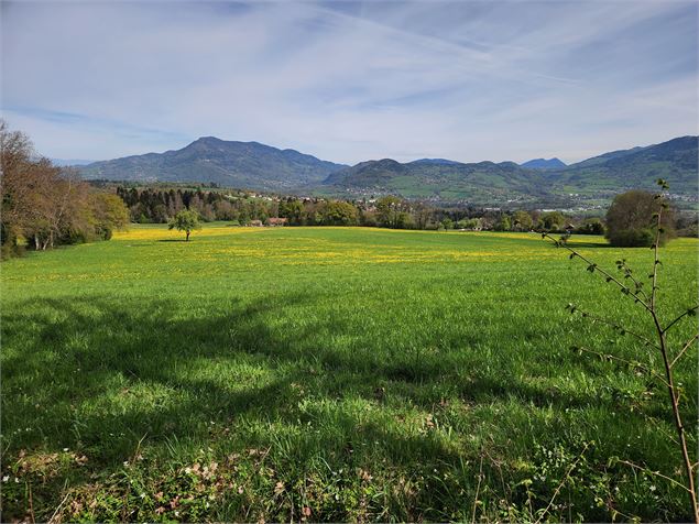Sentier de randonnée - Boucle de Faucigny, église et château_Faucigny - arnaud lesueur