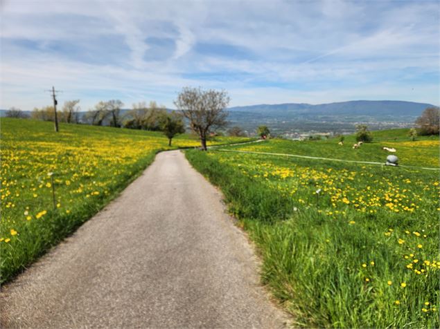 Sentier de randonnée - Boucle de Faucigny, église et château_Faucigny - arnaud lesueur