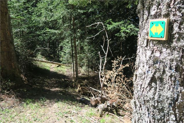 Balisage à suivre - Victor Demilly / Vallée d'Aulps Tourisme