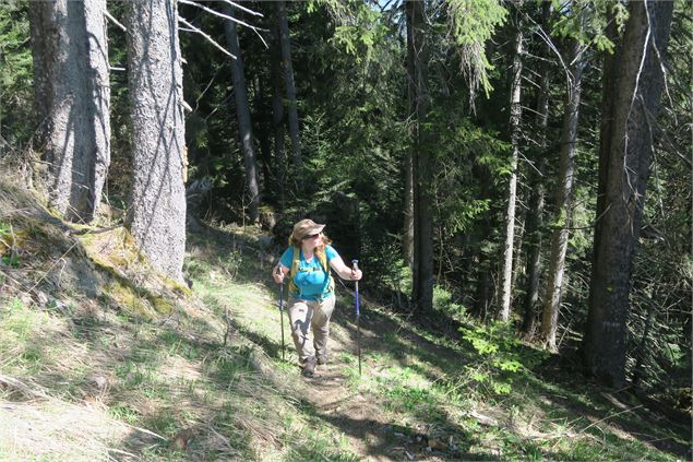 Randonnée en forêt - Victor Demilly / Vallée d'Aulps Tourisme