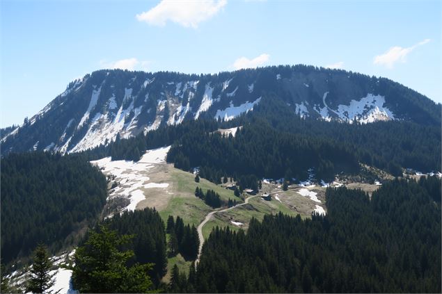 Alpage au loin - Victor Demilly / Vallée d'Aulps Tourisme
