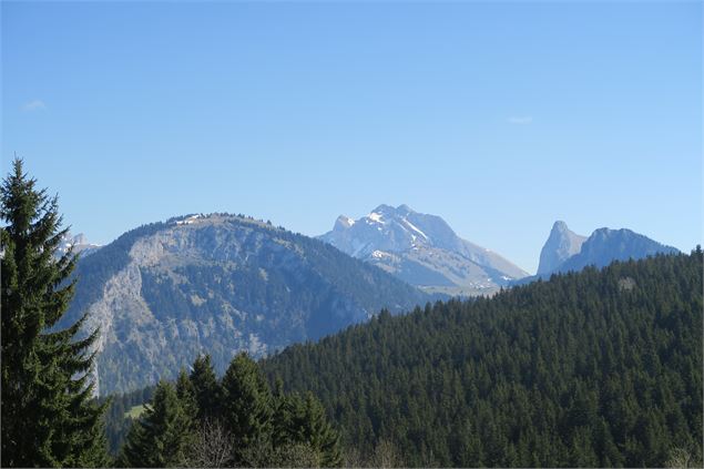 Vue sur les Cornettes de Bise - Victor Demilly / Vallée d'Aulps Tourisme