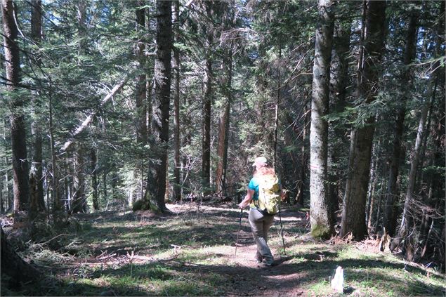Randonnée en forêt - Victor Demilly / Vallée d'Aulps Tourisme