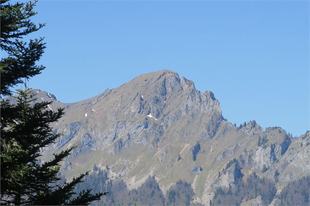Vue sur le Mont Billiat - Victor Demilly / Vallée d'Aulps Tourisme