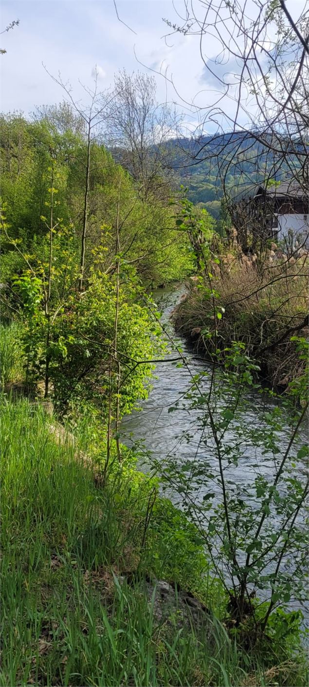 Balade le long de la Bialle_Sallanches - Mairie de Sallanches