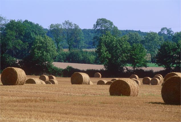 Balade en bocage bressan - scalland