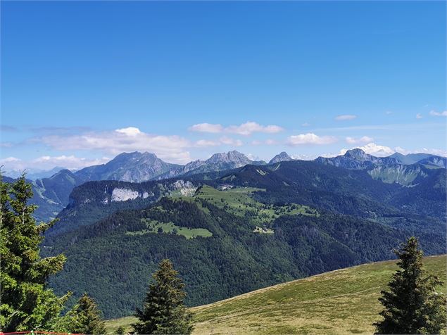 Vue sur la chaine du Mont-Blanc