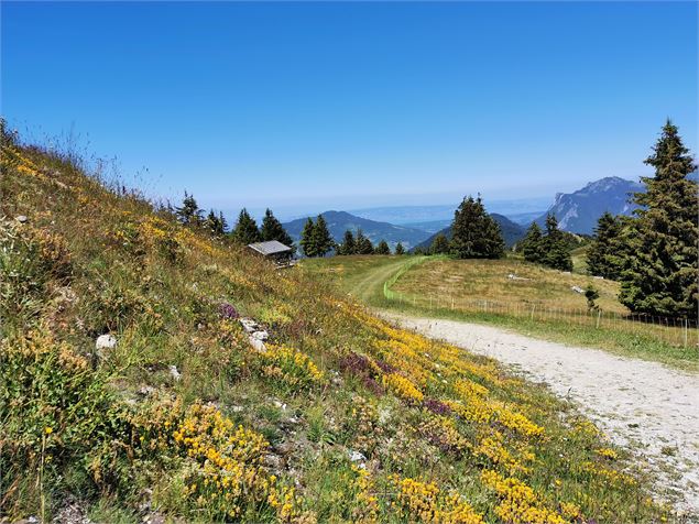 Depuis le sommet du télésiège