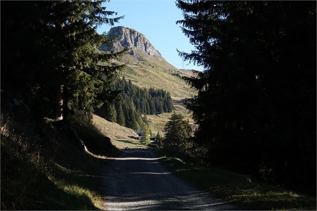 Le Château - verbier.ch