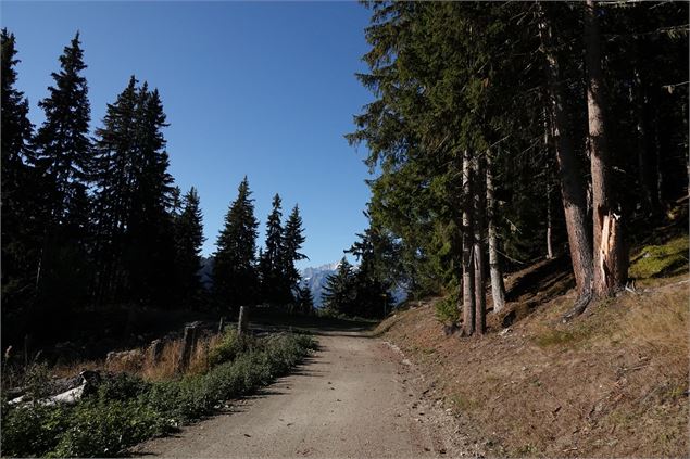Le Château - verbier.ch