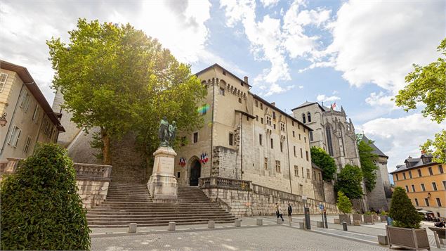 Château des ducs de Savoie - Heliatus Drone