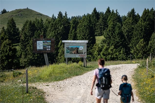 Le circuit des trois lacs - Semnoz - Peignée verticale