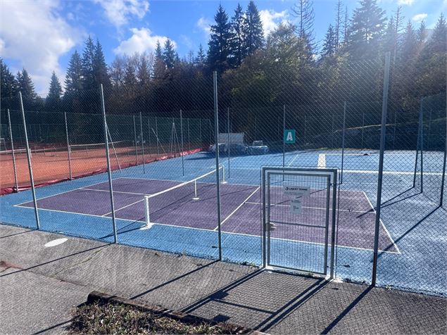 Terrain de pickleball