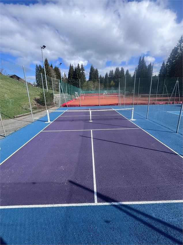 Terrain de pickleball