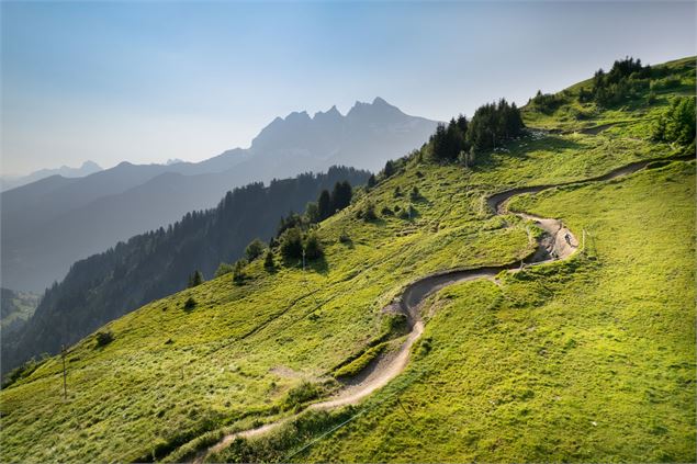 Piste DH n°03 - rouge - Crosets - Litescape media