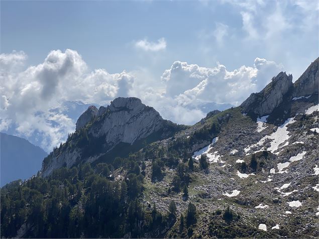 paysage - NFOTSLA