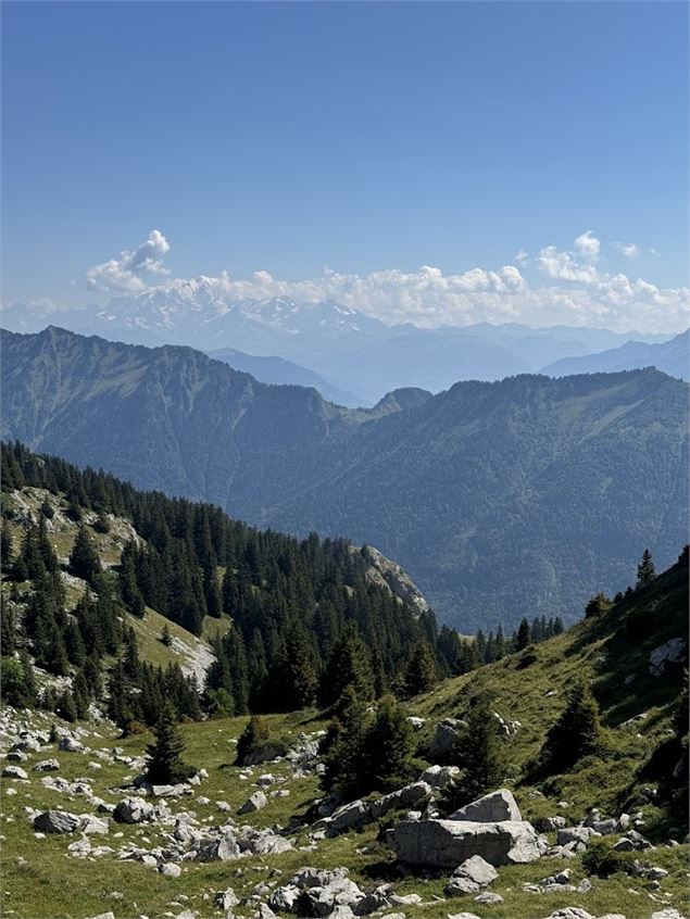 Randonnée pédestre : La Petite Sambuy via la piste forestière_Faverges-Seythenex - NFOTSLA