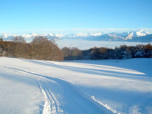 Piste de ski de fond au Salève - Foyer Nordique Salève