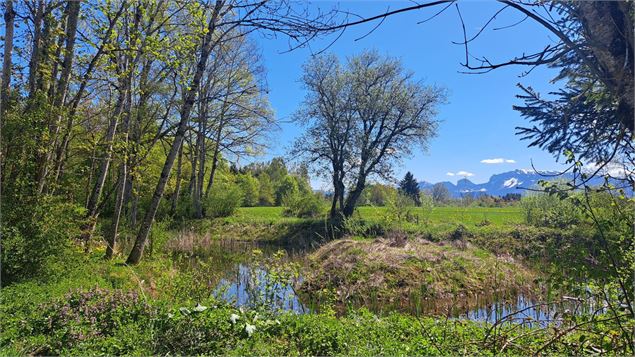 Etang - Alter Alpa Tourisme