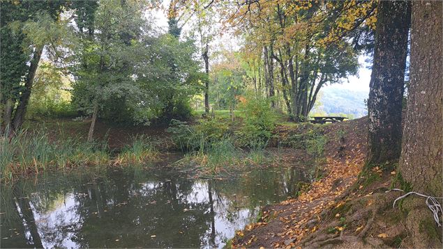 Etang - C.Rampon