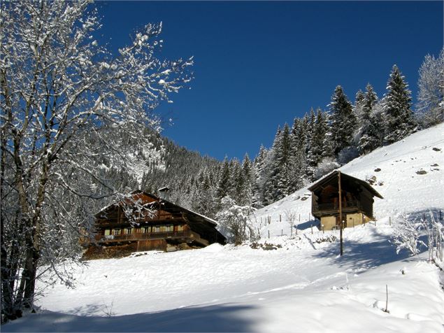 Chalet à Châtel - JF Vuarand