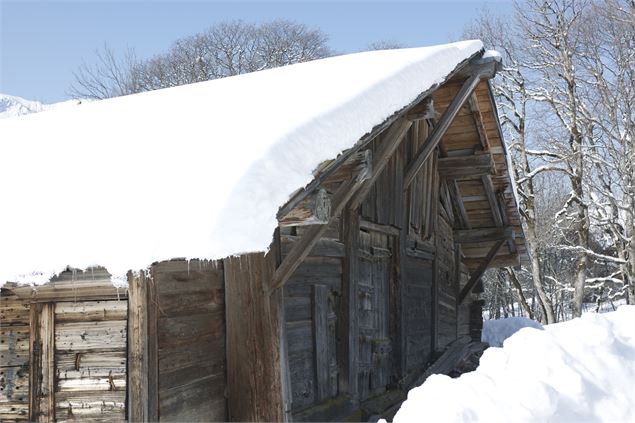 Chalet à Châtel - JF Vuarand