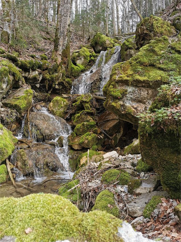Rivière - OT Alpes du Léman