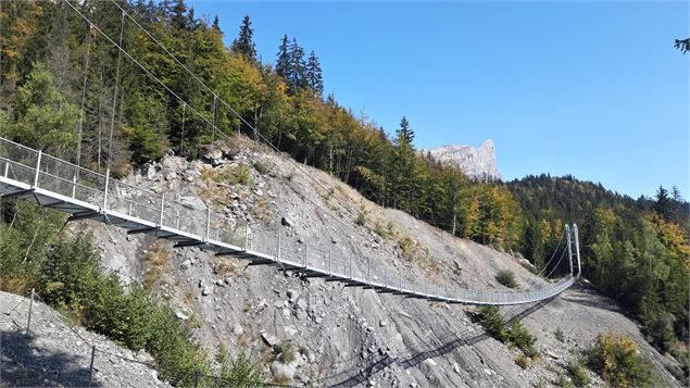 Passerelle du Nant Bordon - Arnaud Lesueur