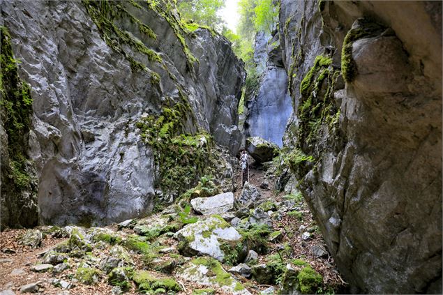 Gorges des Tines - Monica Dalmasso
