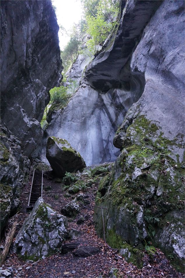 Balade des anciennes gorges - Monica Dalmasso