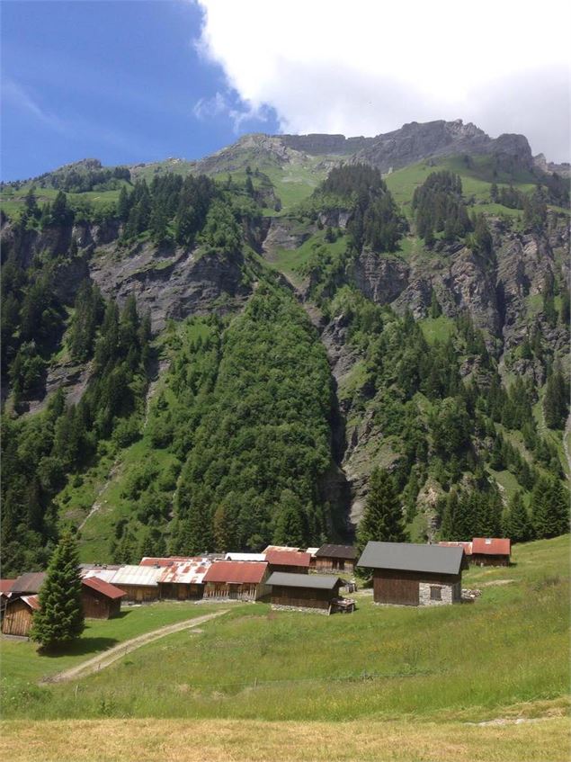 Itinéraire pédestre : Refuge et alpage des fonts - Refuge des Fonts